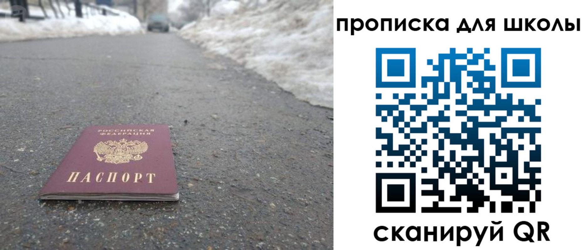 прописка для школы в Чкаловске